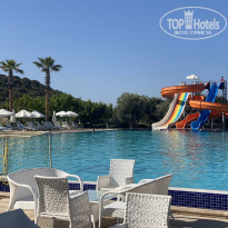 фото из отзыва ID 2366484