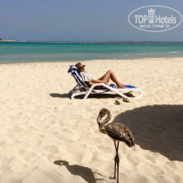 фото из отзыва ID 2368156