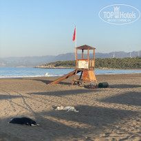 фото из отзыва ID 2366484