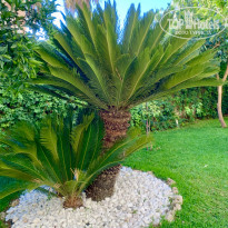 фото из отзыва ID 2368166