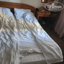 фото из отзыва ID 2368221