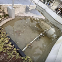 фото из отзыва ID 2368617