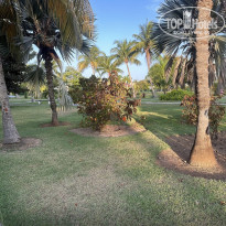 фото из отзыва ID 2368617