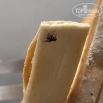 фото из отзыва ID 2368617