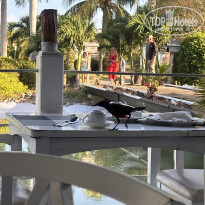 фото из отзыва ID 2368617