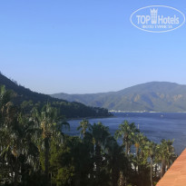 фото из отзыва ID 2368739