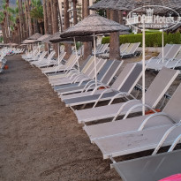 фото из отзыва ID 2368860