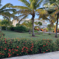 фото из отзыва ID 2368970