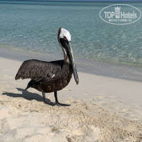 фото из отзыва ID 2368970