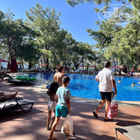 фото из отзыва ID 2368981