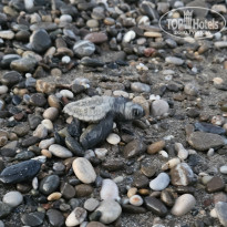 фото из отзыва ID 2369057