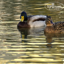 фото из отзыва ID 2369063