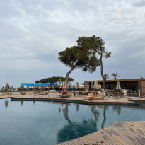 фото из отзыва ID 2368464