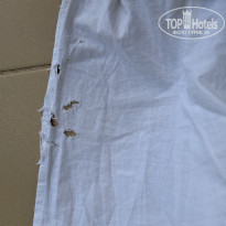 фото из отзыва ID 2368738