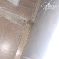 фото из отзыва ID 2368738