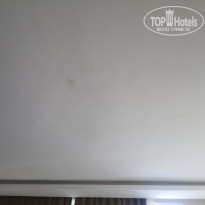 фото из отзыва ID 2369159