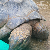 фото из отзыва ID 2369253