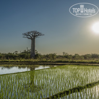 фото из отзыва ID 2369354