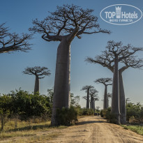 фото из отзыва ID 2369354