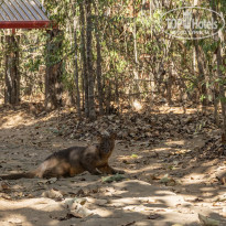 фото из отзыва ID 2369354