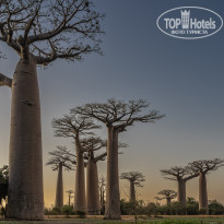 фото из отзыва ID 2369354