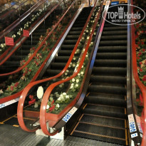 фото из отзыва ID 2369311