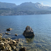 фото из отзыва ID 2369424