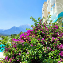 фото из отзыва ID 2369456