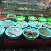 фото из отзыва ID 2369507