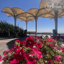 фото из отзыва ID 2369578