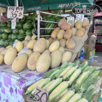 фото из отзыва ID 2369578