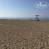 фото из отзыва ID 2369605