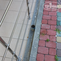 фото из отзыва ID 2369808