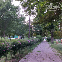 фото из отзыва ID 2369808