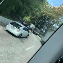 фото из отзыва ID 2369895