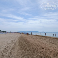 фото из отзыва ID 2369917