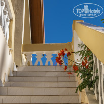 фото из отзыва ID 2369939