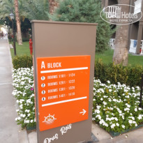 фото из отзыва ID 2369582