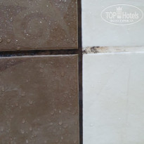 фото из отзыва ID 2368531