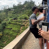 фото из отзыва ID 2369414