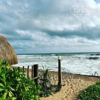 фото из отзыва ID 2369414