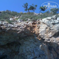 фото из отзыва ID 237887