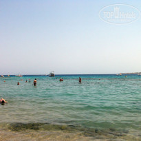 фото из отзыва ID 237329