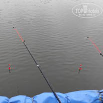 фото из отзыва ID 2370057