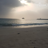 фото из отзыва ID 2370392