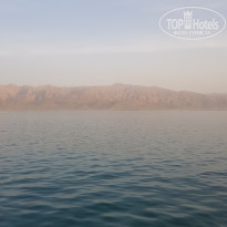 фото из отзыва ID 2370392