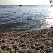 фото из отзыва ID 2370398