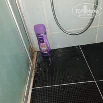 фото из отзыва ID 2370403