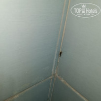 фото из отзыва ID 2370403