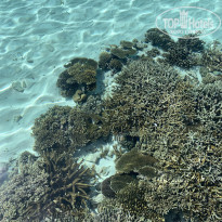 фото из отзыва ID 2370486